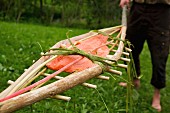 Lachs auf rustikalem, selbstgebautem Schneeschuhgrill