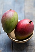 Two mangos in a bowl