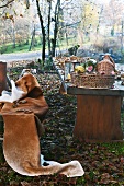 Rustic wooden table in autumnal garden