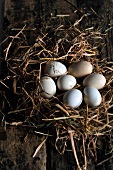 Eggs in a nest of hay
