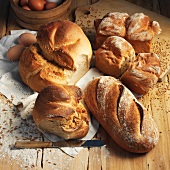 Assorted types of bread on a wooden surface