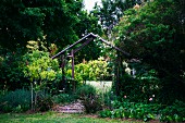 Rose trellis shaped like house with gable roof in cottage garden surrounded by tall trees