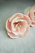 Pale Pink Icing Flowers Ready to Go on a Cake