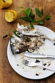 Remains of fish on a plate