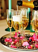Champagner in Gläser einschenken