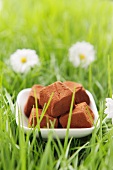 Chocolate truffles in artificial grass