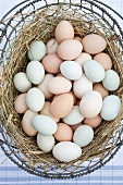 Wire Basket of Assorted Free Range Organic Farm Eggs