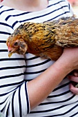 Eine Frau hält eine Henne