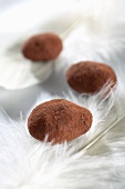 Chocolate nuts on white feathers