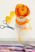 Orange ranunculus in vase