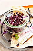 Fresh sprouts in a glass