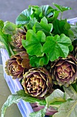 Fresh artichokes with leaves in a crate