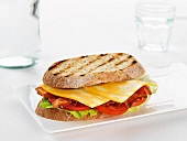 Cheddar, bacon and tomato sandwich in grilled bread