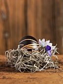 An egg painted in shades of brown for Easter with spring flowers in a nest