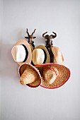 Panamahüte und Sombreros an Garderobenhaken in Form von Wildtierköpfen