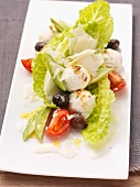Caesar salad with mozzarella, olives and tomatoes