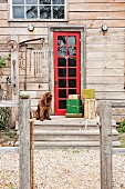 Wrapped presents and dog in front of red exterior door of rustic wooden house