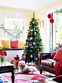 Geschmückter Weihnachtsbaum mit davorliegenden Weihnachtsgeschenken; im Vordergrund eine braunrote Ledercouch