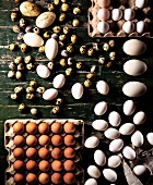 Assorted eggs on a wooden board