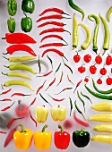 Different types of peppers and chillies