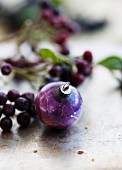 A purple Christmas bauble next to a sprig of aronia berries
