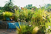 Mediterranean terrace with blooming ornamental grasses in blue wooden containers
