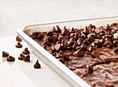 Brownies with chocolate chips in a baking tray