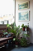 Corner of balcony decorated with pictures & potted plants