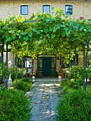 Path with vine covered pergola in front of the furnished terrace of a Mediterranean country home