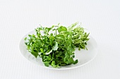Fresh watercress on a plate against a white background