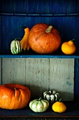 An arrangement of pumpkins