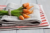 A bunch of baby carrots on a tea towel