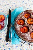 Chocolate and Plum Cake Dusted with Powdered Sugar