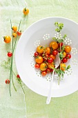 Fresh Cherry Tomatoes in a White Colander