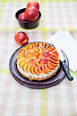 Curd cheesecake with nectarines