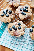 Blueberry muffins on a cake rack