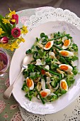 Lamb's lettuce salad, artichokes, asparagus and eggs