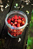 Freshly picked wild strawberries in a screw-top jar