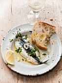 Preserved sardines with olive oil, garlic and herbs