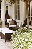 Blühende weiße Blumen im Topf vor Outdoormöbeln aus braunem Geflecht auf Terrasse einer herrschaftlichen Villa