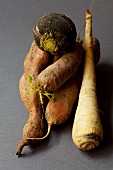 Root vegetables from an organic farm