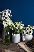 A variety of white flowers in full bloom in vintage containers in front of a blue wall