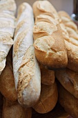 Fresh baguettes