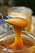 Frisch geschleuderter Honig