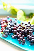 Fresh red grapes on a serving plate