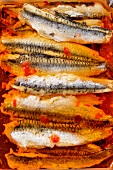 Sardine fillets with red chilli oil and chilli flakes