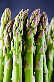 Stalks of green asparagus (close-up)