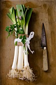 A bunch of leeks with chives and parsley