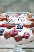 Yoghurt and berry dessert with chocolate sponge