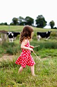 Kleines Mädchen spaziert neben einer Kuhweide entlang
